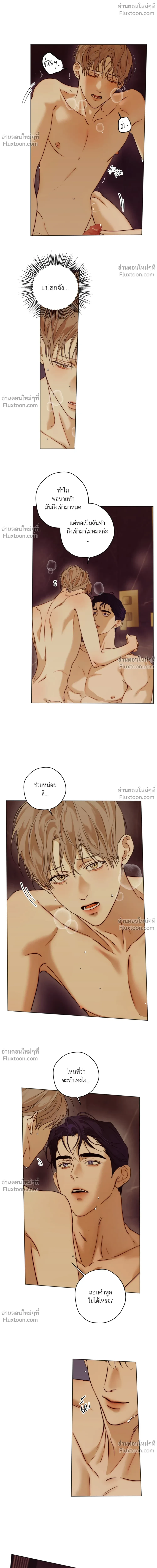 ภาพที่ 4