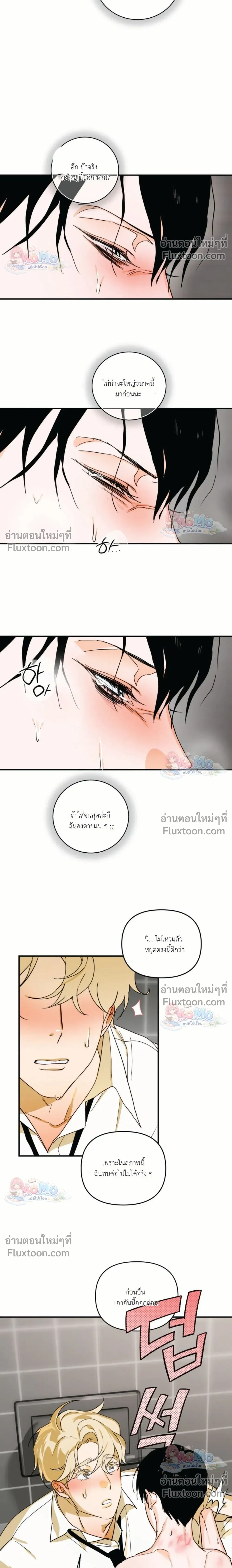 ภาพที่ 3