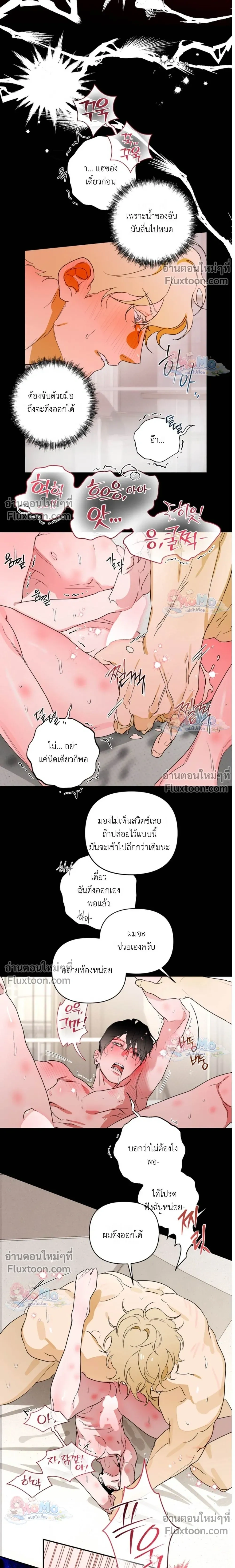 ภาพที่ 4