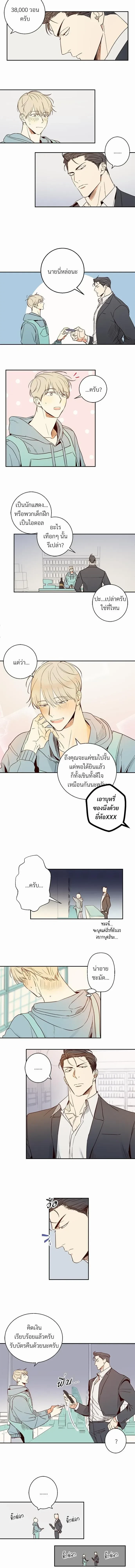 ภาพที่ 3