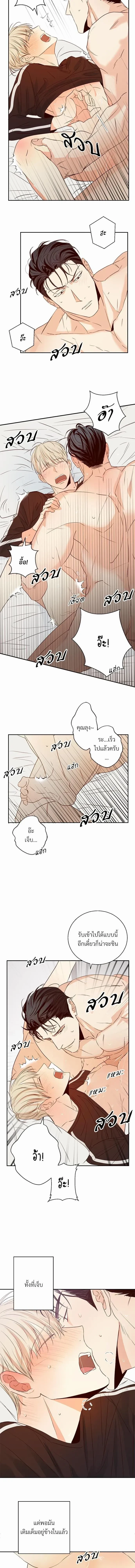 ภาพที่ 3