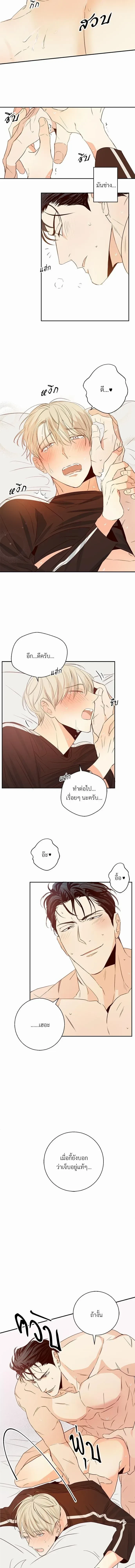 ภาพที่ 4