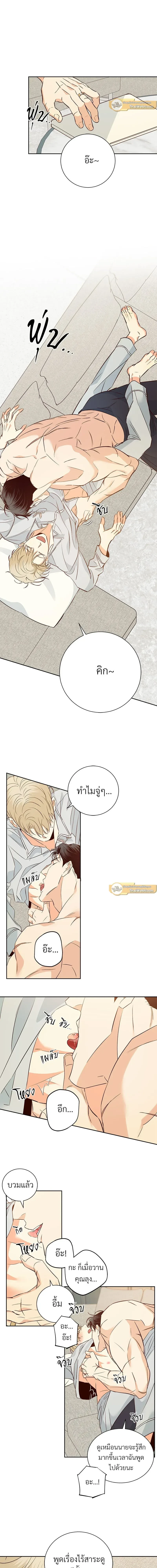 ภาพที่ 4