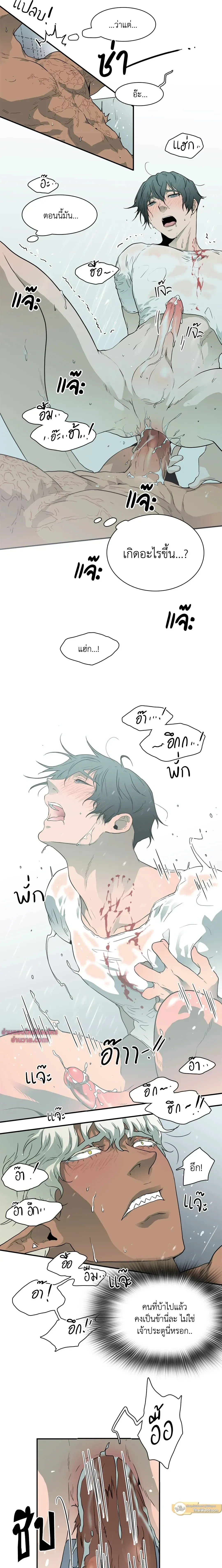 ภาพที่ 3