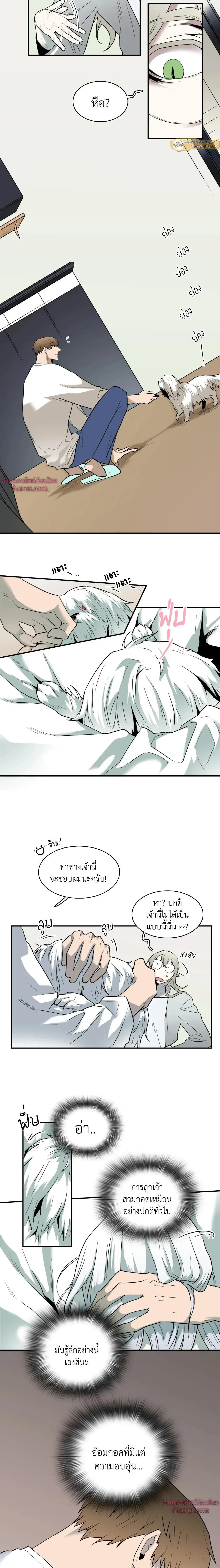 ภาพที่ 4
