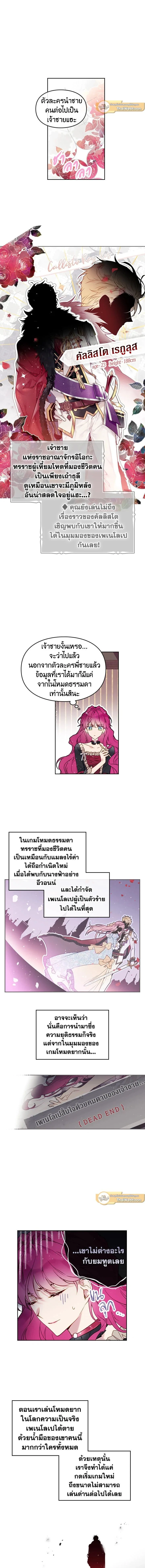 ภาพที่ 3