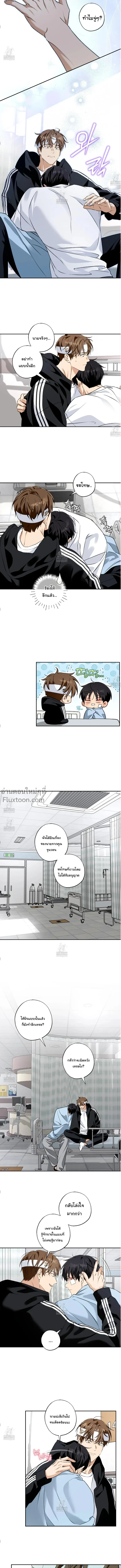 ภาพที่ 3