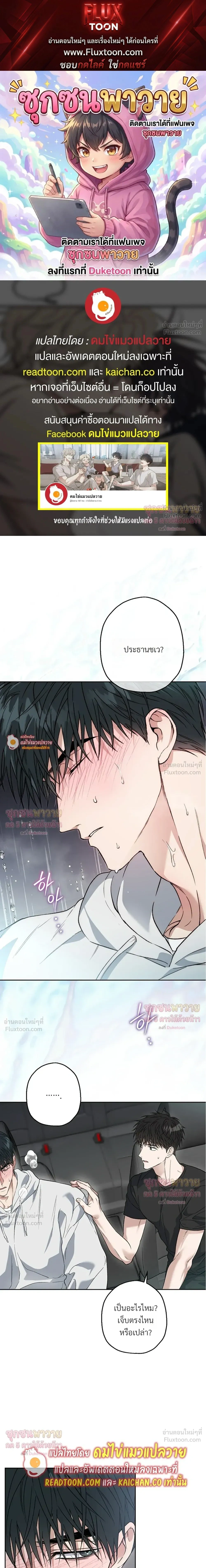 ภาพที่ 1