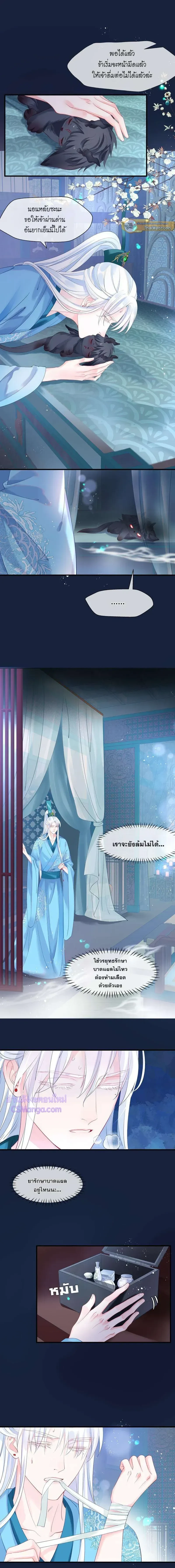 ภาพที่ 4