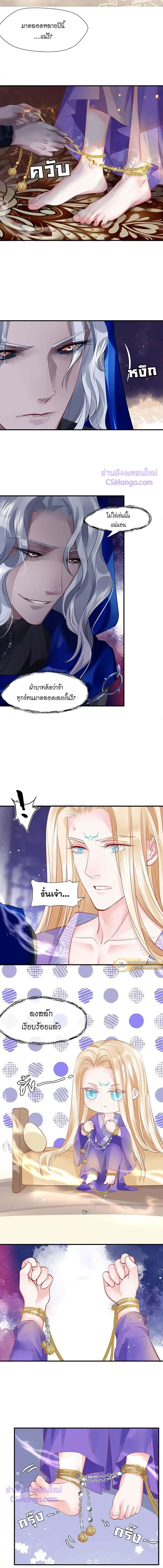 ภาพที่ 3
