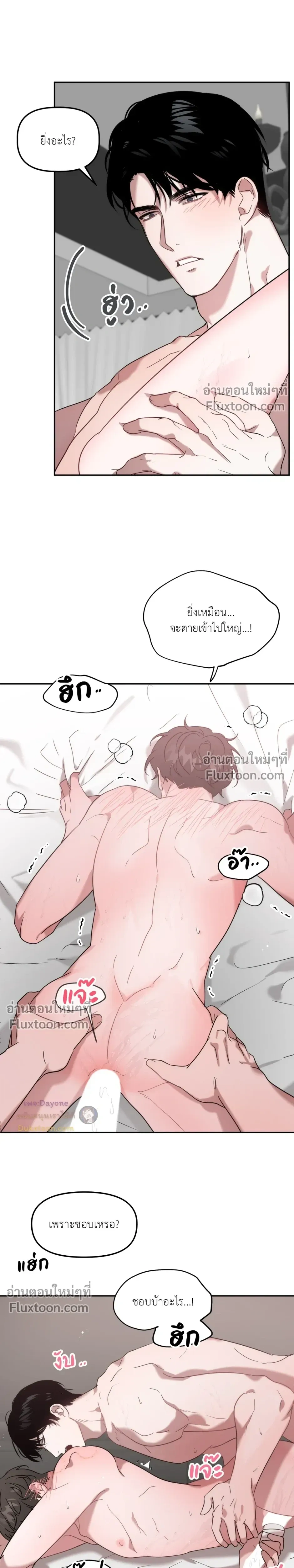 ภาพที่ 4