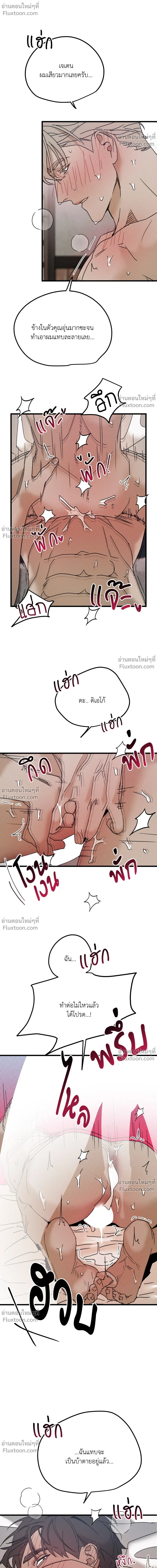 ภาพที่ 4