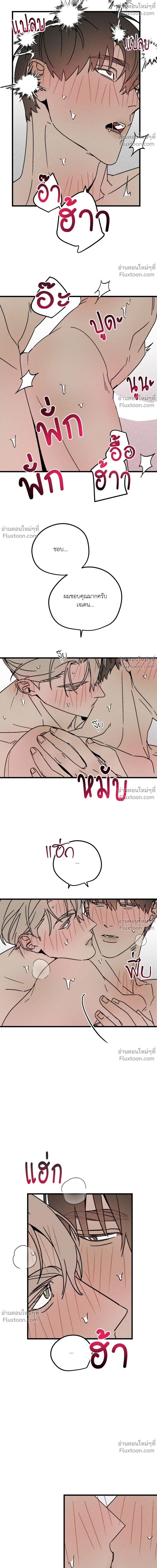 ภาพที่ 4