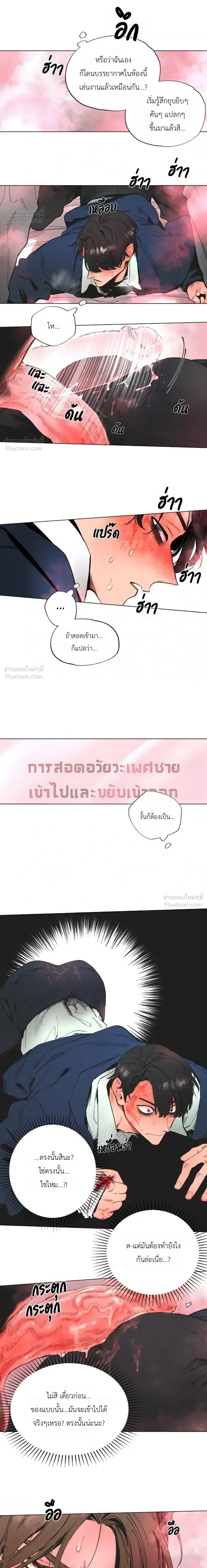 ภาพที่ 3