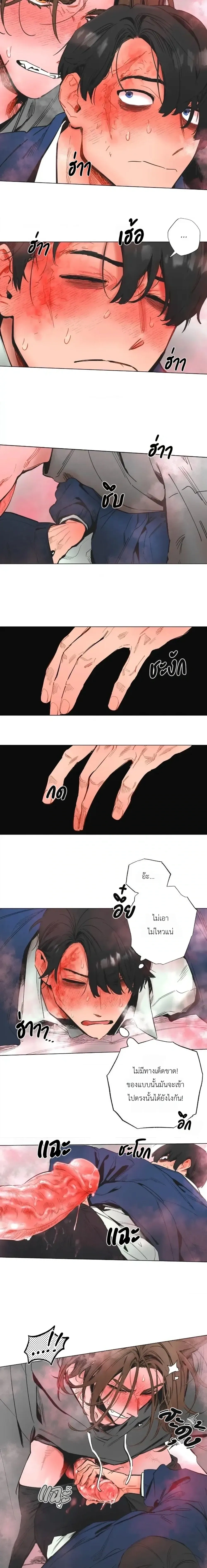 ภาพที่ 4