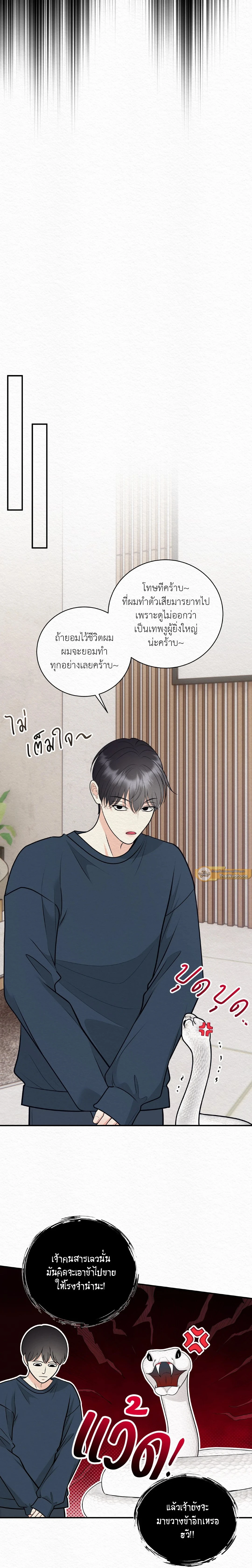 ภาพที่ 4