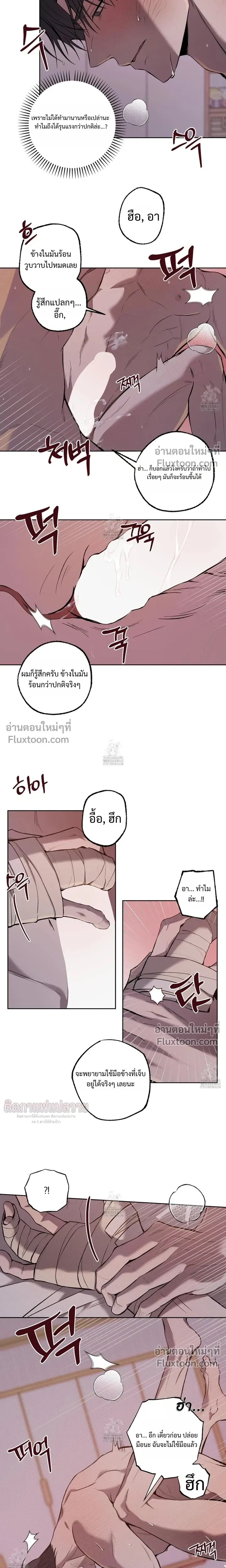 ภาพที่ 3