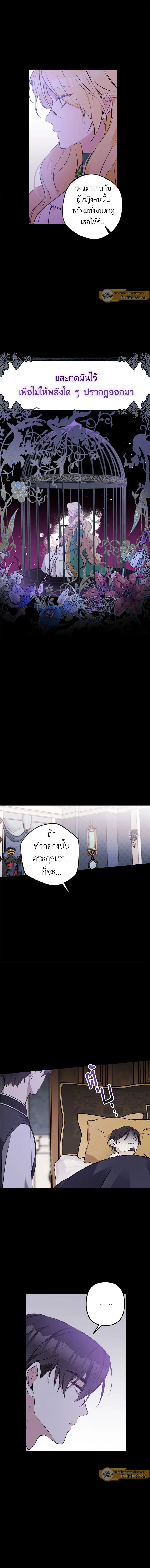 ภาพที่ 4