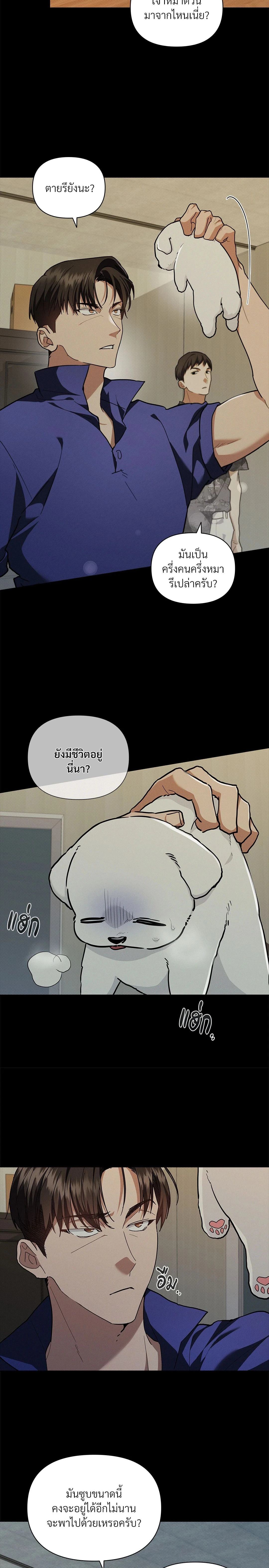 ภาพที่ 4