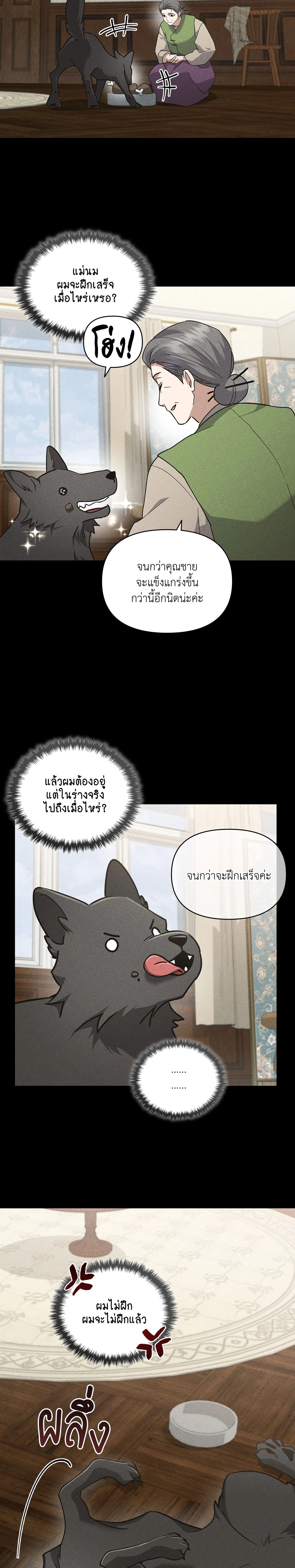 ภาพที่ 3