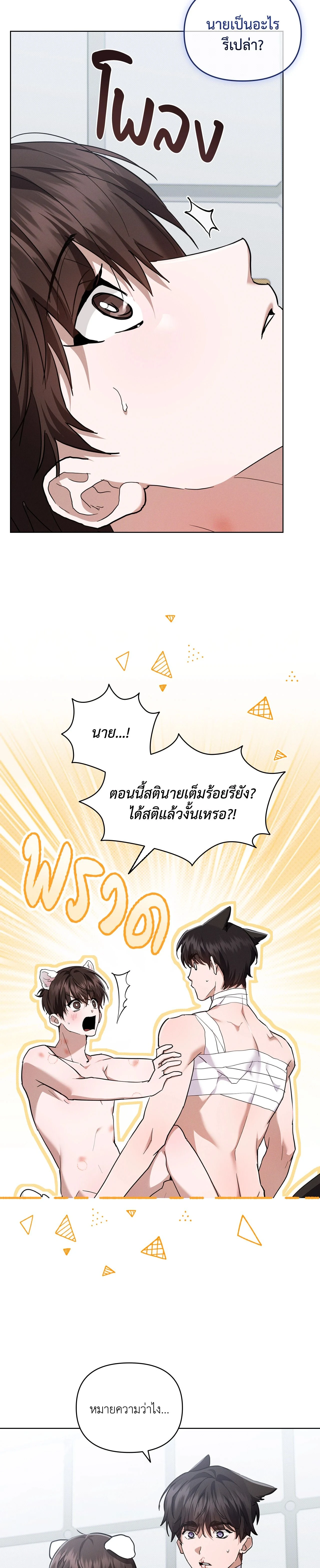 ภาพที่ 4