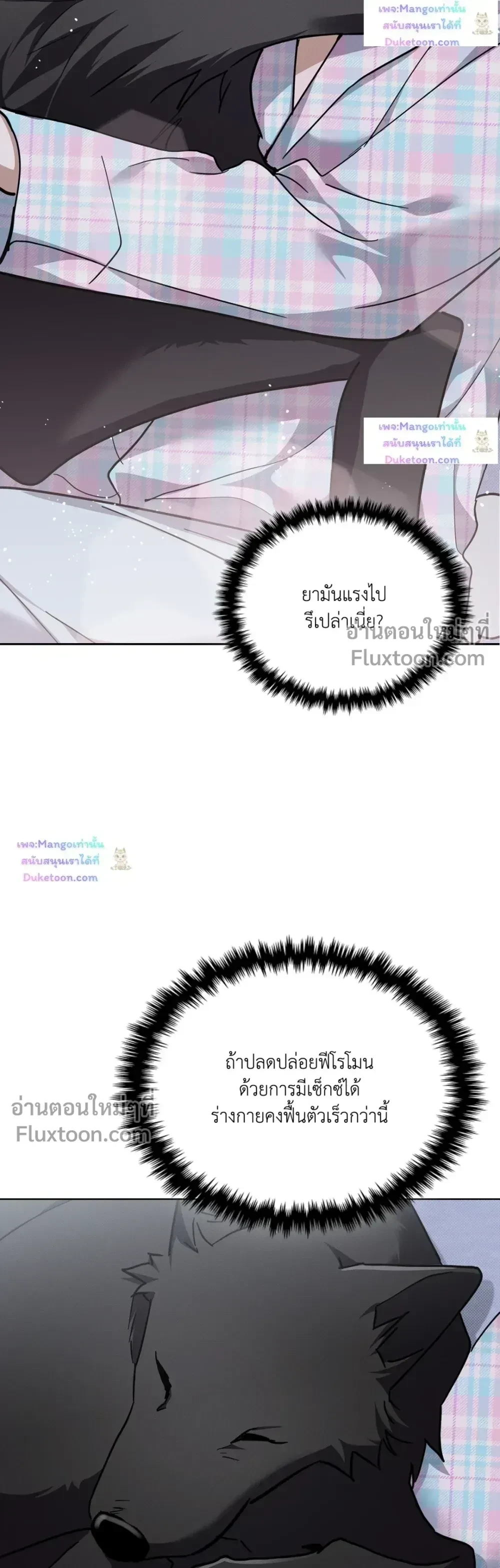 ภาพที่ 3