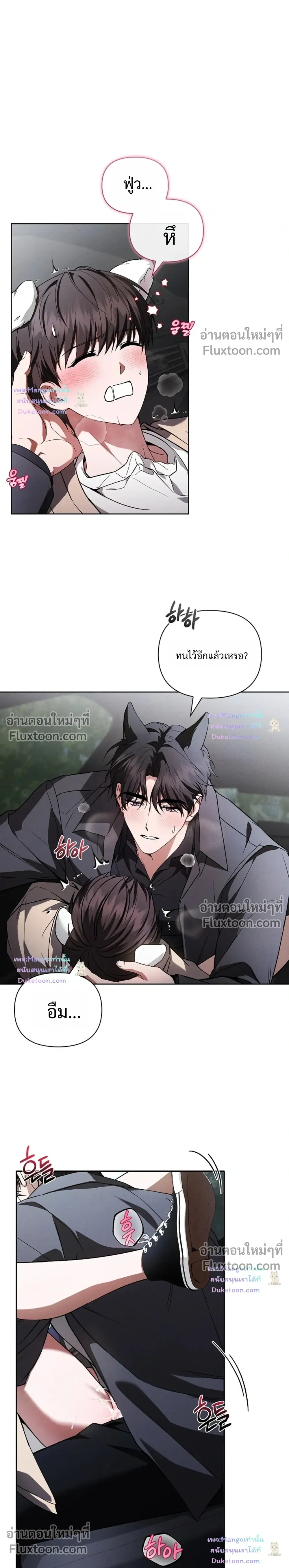 ภาพที่ 4