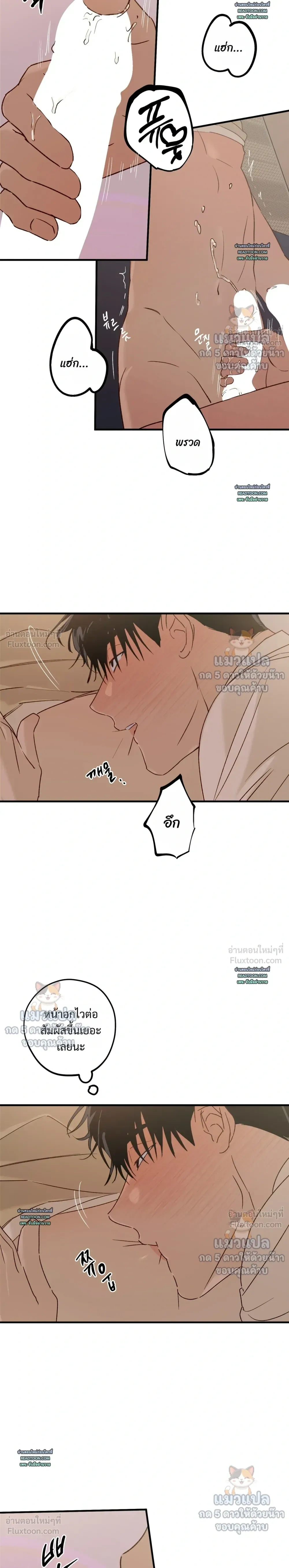 ภาพที่ 4