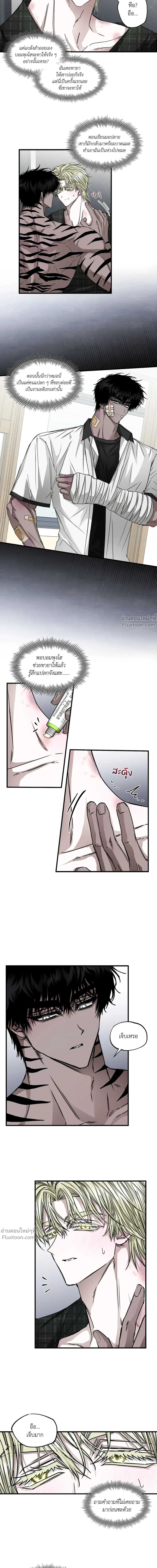 ภาพที่ 4