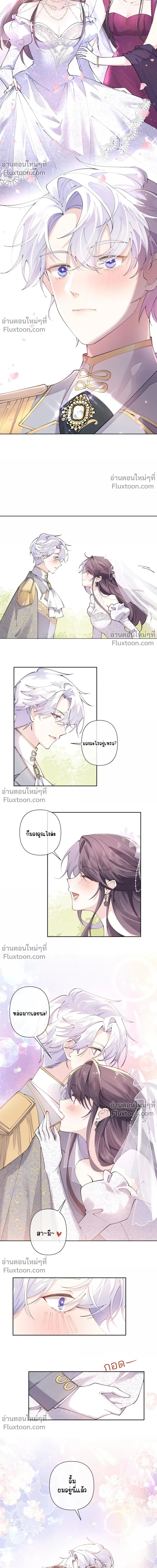 ภาพที่ 4