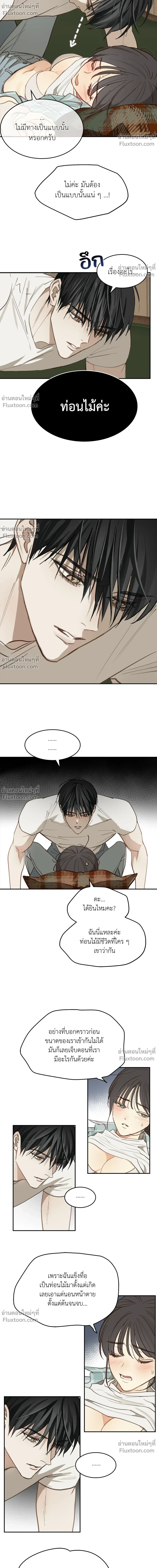 ภาพที่ 4