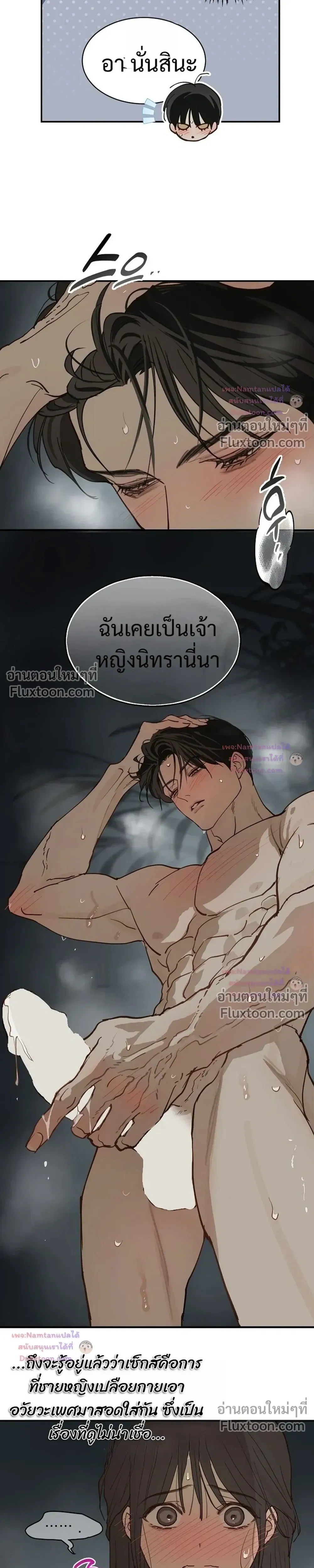 ภาพที่ 3