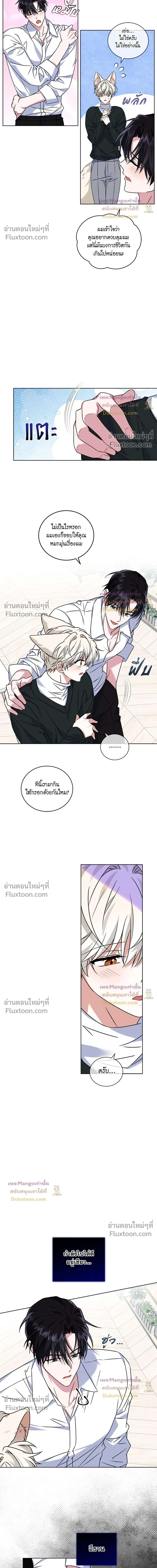 ภาพที่ 4