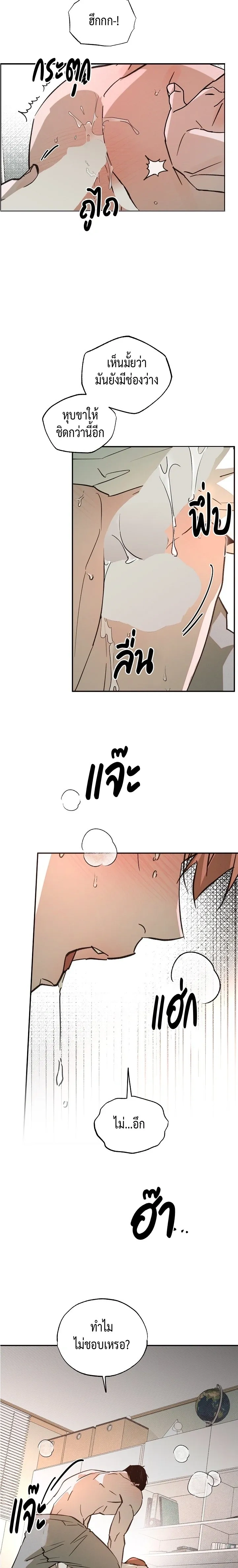 ภาพที่ 3