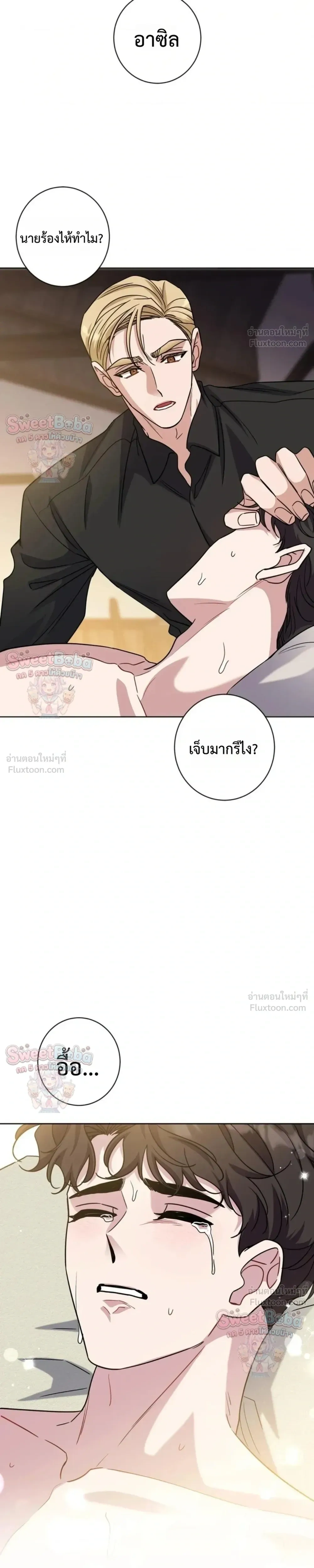 ภาพที่ 4