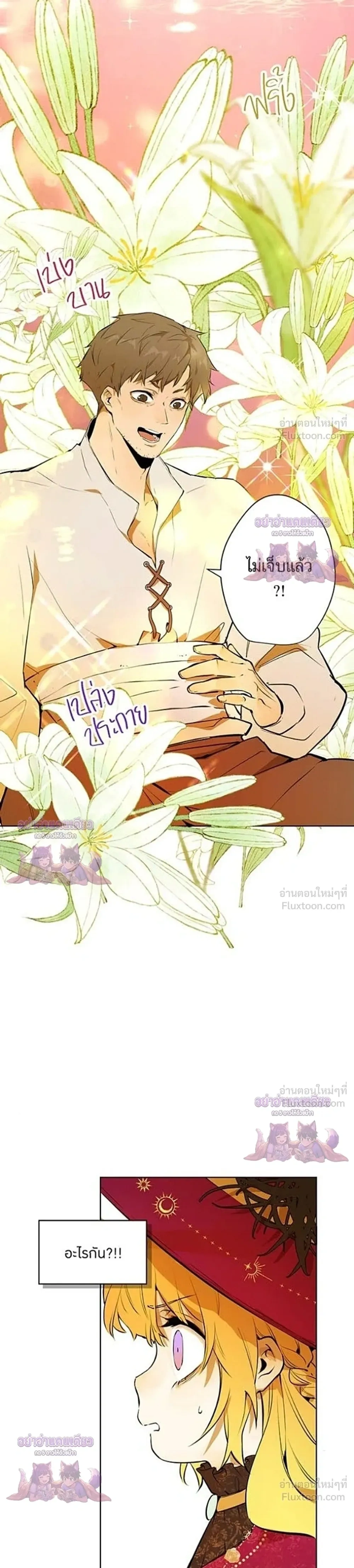 ภาพที่ 3