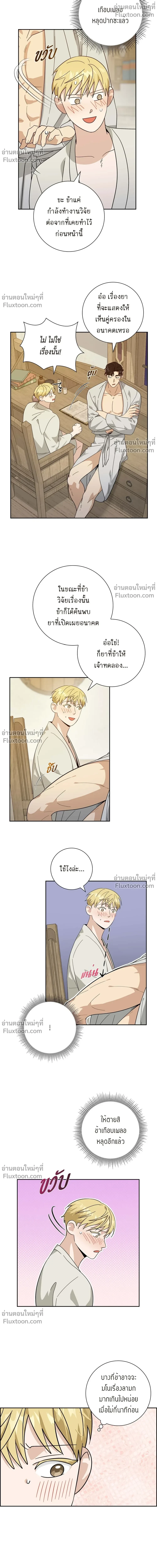ภาพที่ 4