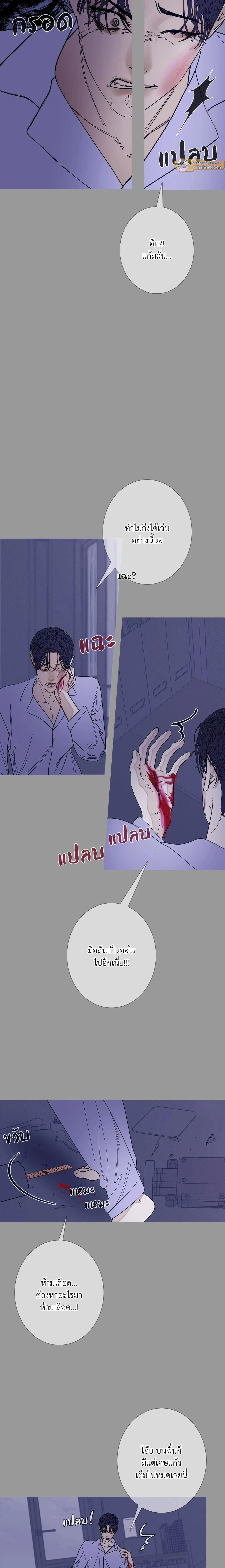 ภาพที่ 4