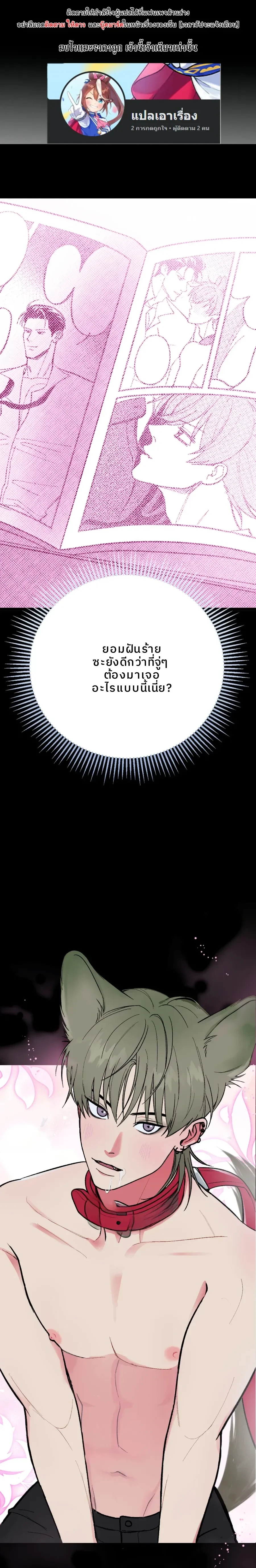 ภาพที่ 1