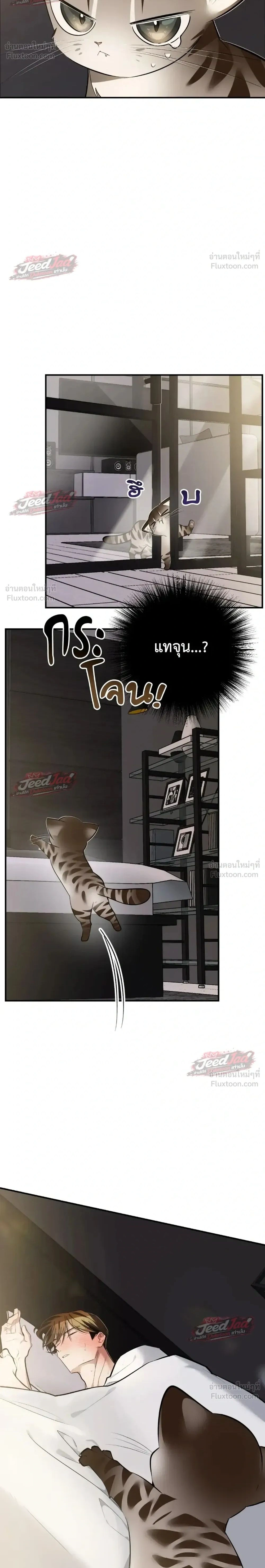ภาพที่ 2