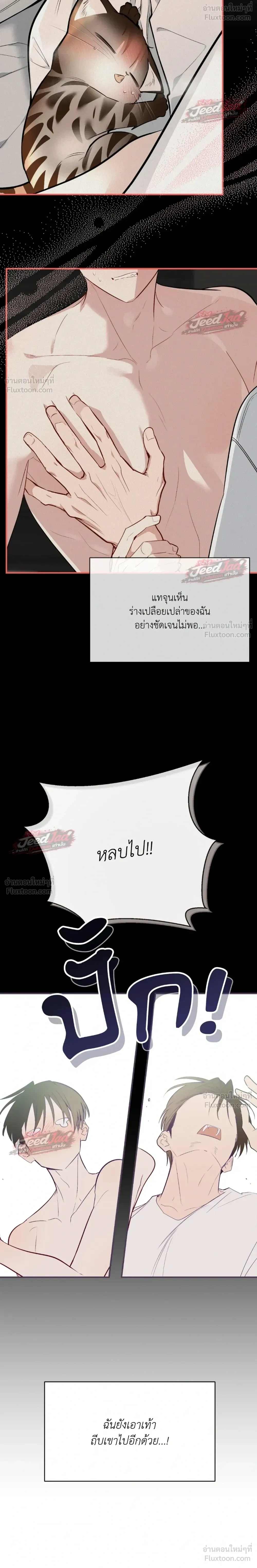 ภาพที่ 4