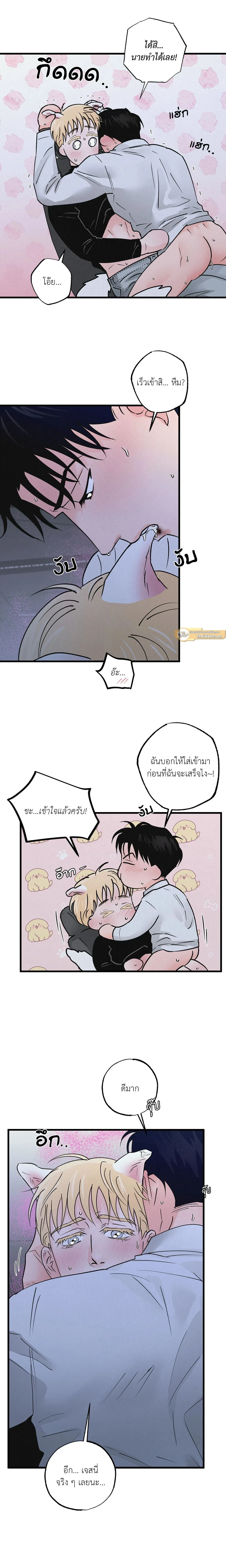 ภาพที่ 3