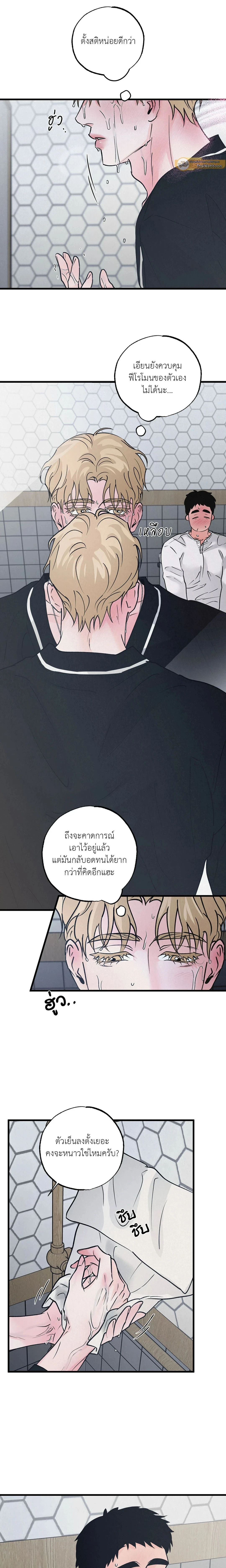 ภาพที่ 4