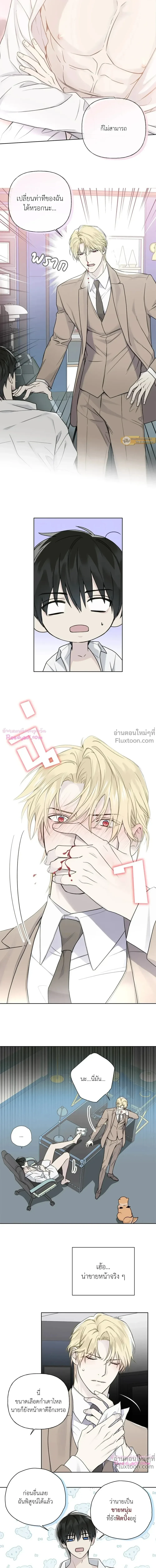 ภาพที่ 4