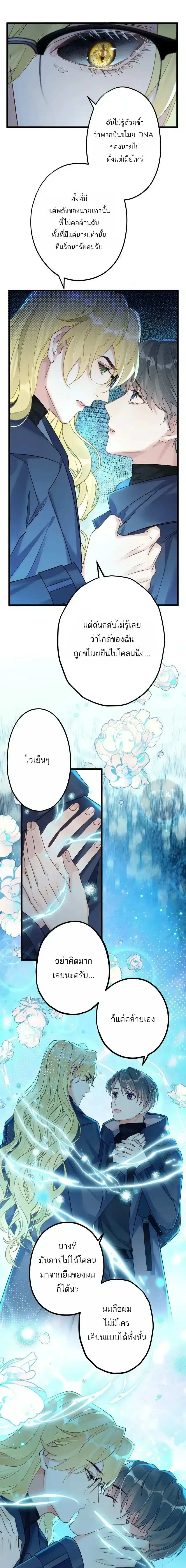 ภาพที่ 3