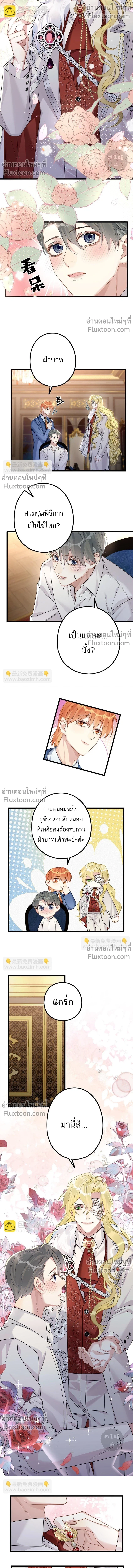 ภาพที่ 4