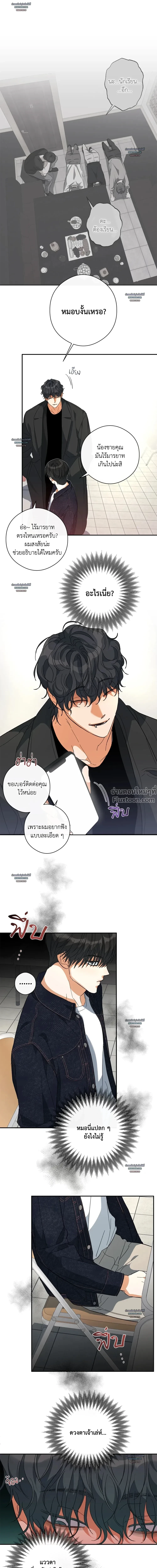 ภาพที่ 4