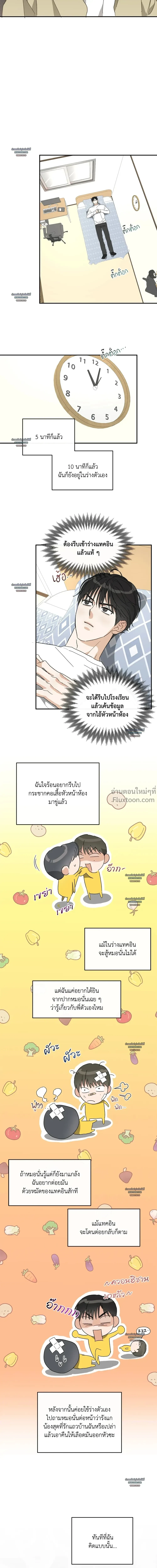 ภาพที่ 4