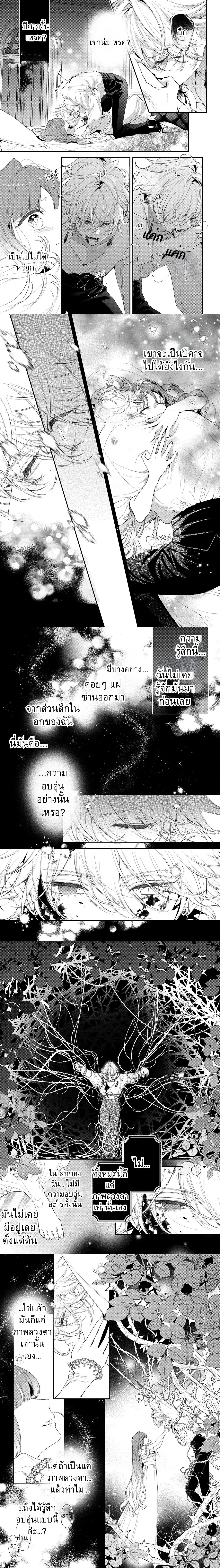 ภาพที่ 3