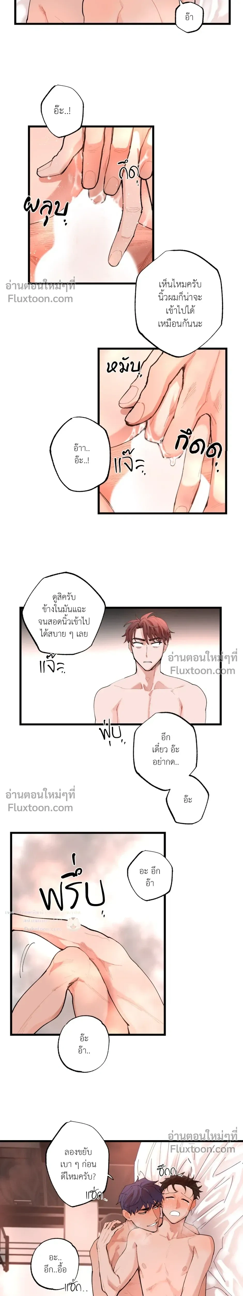 ภาพที่ 4